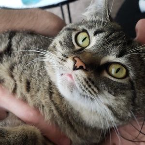 Meet your Posher, Juliana